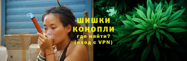 стаф Сосновка